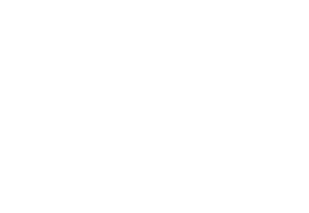 System Professional