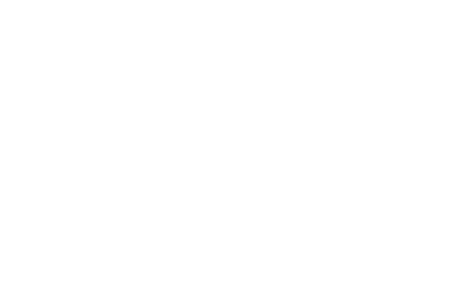 Wella Professionals